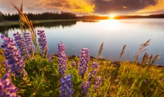 Weather today, forecast for Friday, September 18: Sunny with temporary clouds and some precipitation