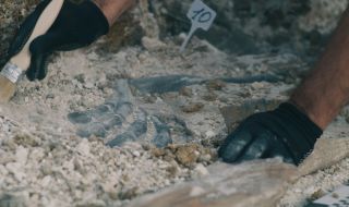 Сензационна находка край Годеч