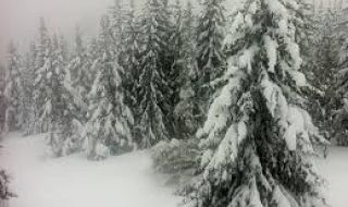 Условия за виелици в планинските проходи