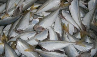 Черно море завря от риба, цените паднаха