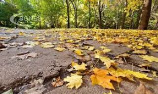 Температурите остават по-високи от обичайните за началото на ноември