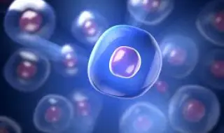 Китайци пускат хапче за живот до 120 години