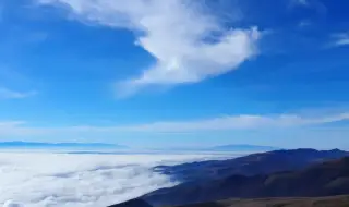 Weather today, forecast for Saturday, January 24: It will remain foggy and cloudy 