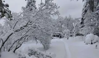 The two roads to Vitosha are temporarily closed for cleaning 