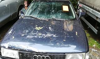 Мащабна акция по репатриране на коли в Пловдив