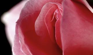 Жените имали "зимна вагина"