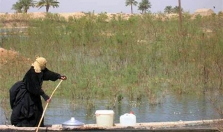 Блата в Ирак, съсипани от Саддам, станаха част от списъка на ЮНЕСКО
