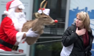 Еленът Рудолф плаши хората в САЩ (ВИДЕО)