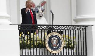 Вижте! Тръмп търкаля яйца из Белия дом (СНИМКИ + ВИДЕО)