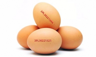 Изтеглиха кокошите яйца със съмнение за салмонела