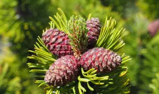 Времето днес, прогноза за сряда, 25 март: Слънчево, ще духа слаб вятър