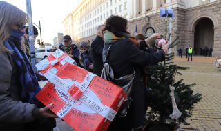 Ден 156: Протестът поиска оставката на "калинката" Захариева