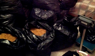 Разбиха незаконен цех за тютюн Столипиново