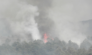 Локализирани са пожарите в Рила и край Средец
