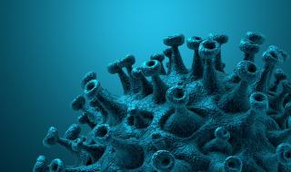 Колко време коронавирусът живее в тялото на човека