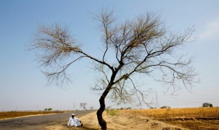 В Индия измериха 51 градуса по Целзий