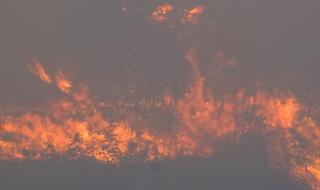 Голям пожар бушува край Сливница