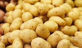 Ромско село дари 2 тона картофи на бедни
