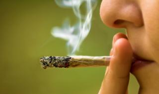 Грузия ще изнася марихуана