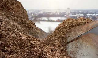 Еколози: Биомасата от дивите животни спада драстично за сметка на човека и опитомените видове