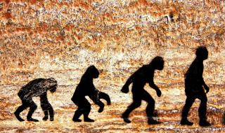 Homo sapiens: Еволюция на възпроизводствения процес
