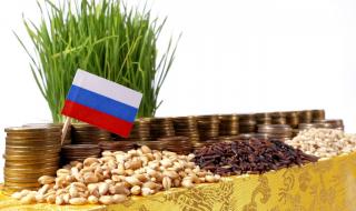 Повече търгуваме с Русия