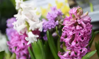 Времето днес, прогноза за понеделник, 9 март: Слънчево с временни увеличения на облачността