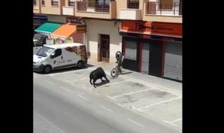 Разярен бик награби мотоциклета (ВИДЕО)