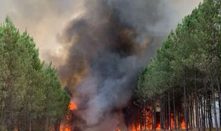 6000 души евакуирани заради пожари