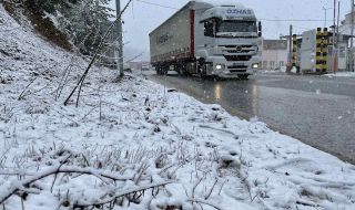Превозвачи поискаха: България и Румъния да премахнат граничния контрол помежду си