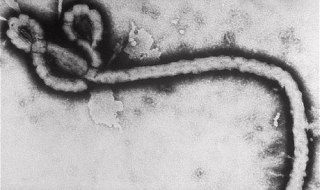 Втори случай на Ебола в Либерия