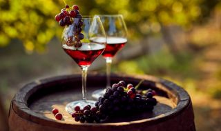 Съвети за производство на домашно вино