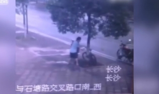 Каква наглост! Мъж отряза дърво, за да открадне колело (ВИДЕО)