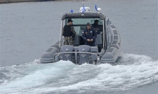 Животът на Земята тръгнал от морска гъба