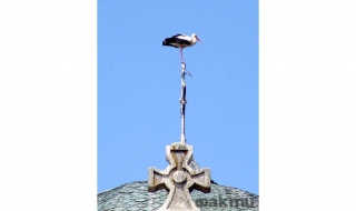 Снимката от нас - заглавието от вас