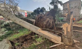 Враца обяви частично бедствено положение заради ураганен вятър