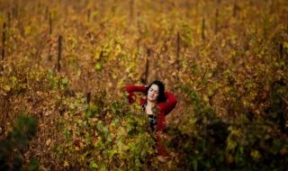 100 000 жени са станали жертви на насилие в Германия