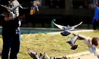 Времето днес, прогноза за петък, 29 декември: Остава нетипично топло за края на годината