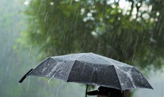 Проливни дъждове в половин България