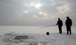 12 януари: Светът в снимки