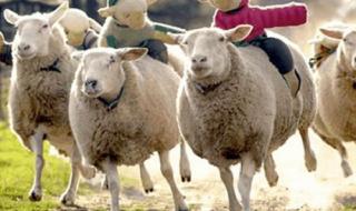 Това е най-досадният филм на всички времена (ВИДЕО)