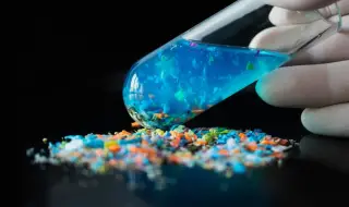 Microplastics have a detrimental impact on terrestrial food chains 