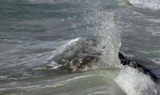 44-годишен мъж се удави край Поморие
