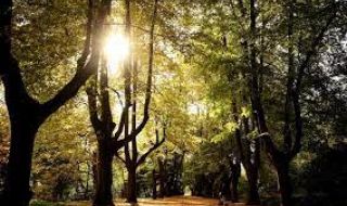 Слънчева неделя, температурите се повишават