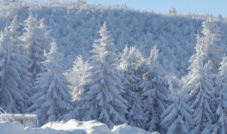 Лавина уби двама туристи на Витоша