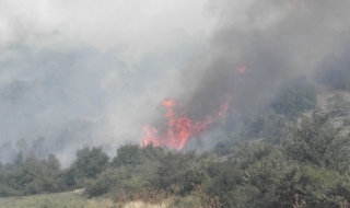 Овладян е големият пожар край с. Мурсалево