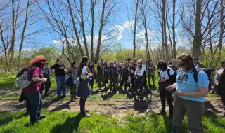 10 г. след засаждането си, крайречна гора в Пловдивско ни пази от наводнения и ерозия и е подслон за биоразнообразието