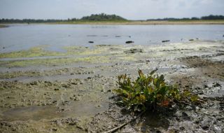 София е сред 50-те най-застрашени от суша градове в Европа