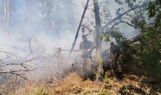 Потушен е горският пожар в Свиленградско