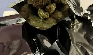 Над 30 килограма марихуана са иззети при полицейските операции в област Стара Загора